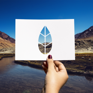 corso valutazione di impatto ambientale e valutazione di impatto strategico